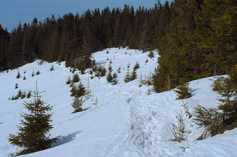 Beskid Żywiecki - Zdjęcie 12 z 20